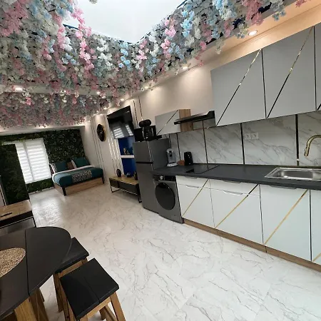 With Jacuzzi Apartment Lille